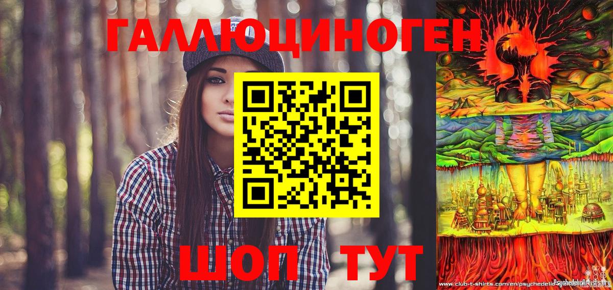 Псилоцибиновые грибы Psilocybe  Вход с VPN  Великие Луки 