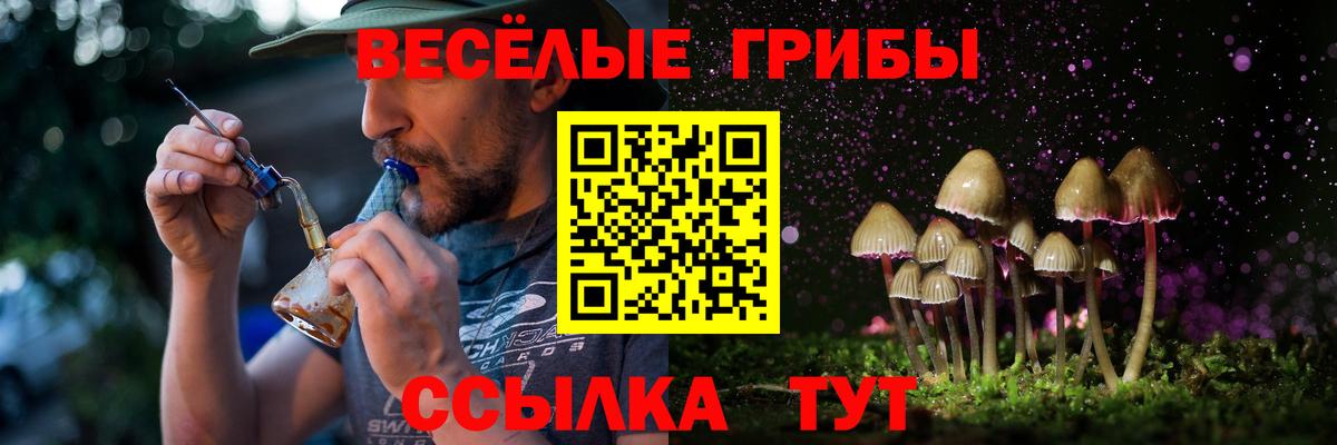 Галлюциногенные грибы прущие грибы Великие Луки