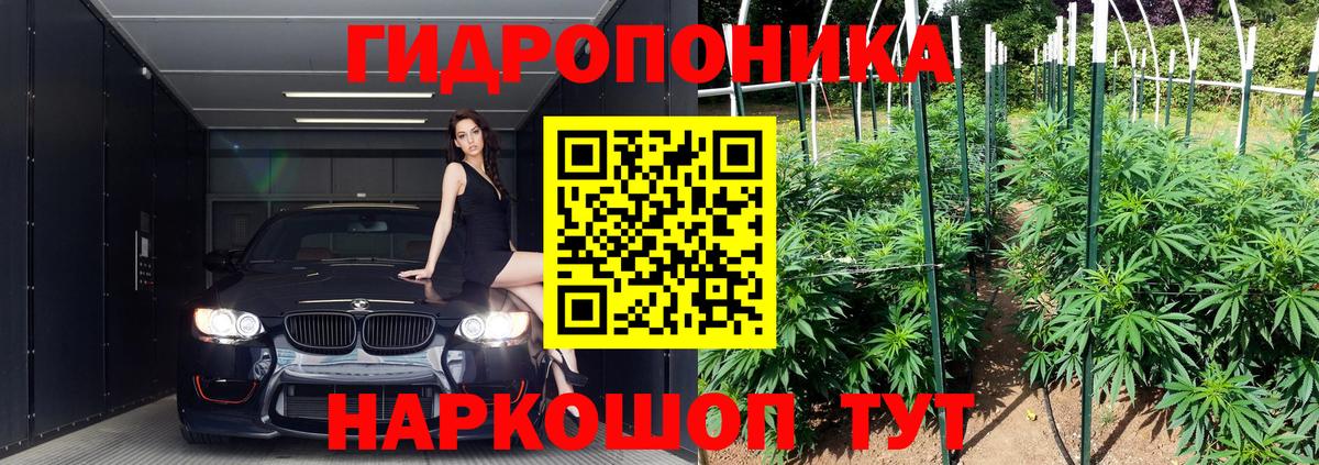 Бошки марихуана OG Kush Великие Луки